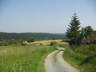 okoli-kostelec-nad-cernymi-lesy-21952--resizecrop-c400xc300.